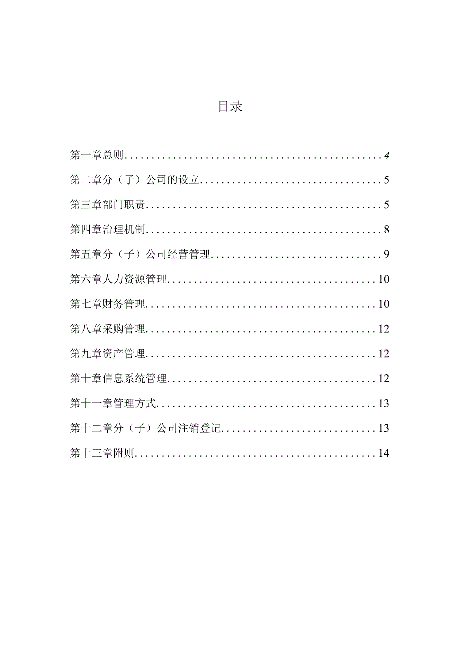 分子公司管理办法.docx_第3页