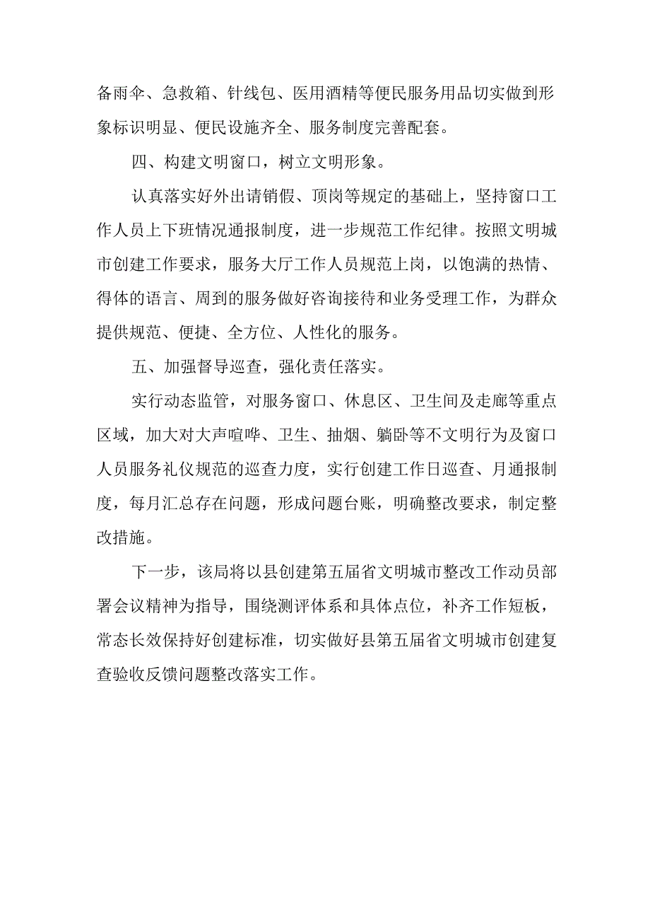 城市创建整改工作情况报告.docx_第2页