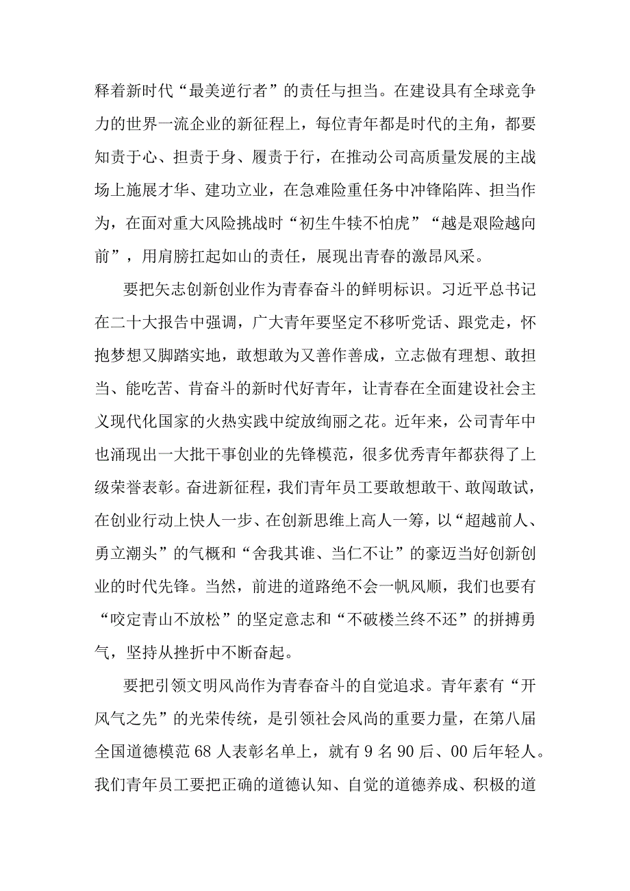 坚持以党的二十大精神为指引为推动公司发展贡献青春力量.docx_第3页