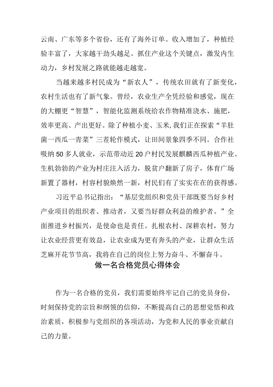 青年驻村干部争做合格新农人心得体会发言稿.docx_第2页