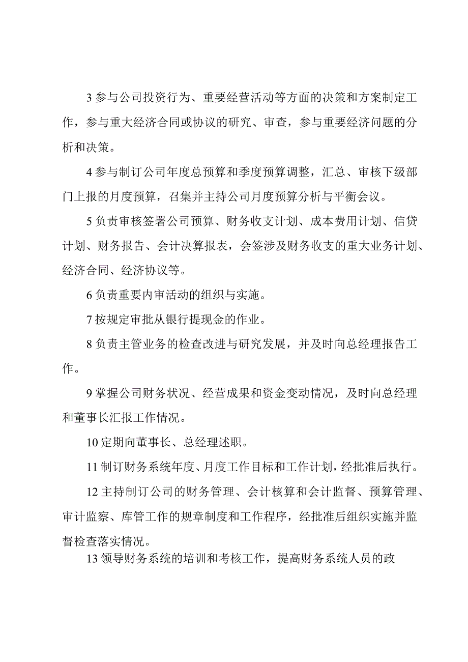 财务总监助理岗位职责13篇.docx_第2页