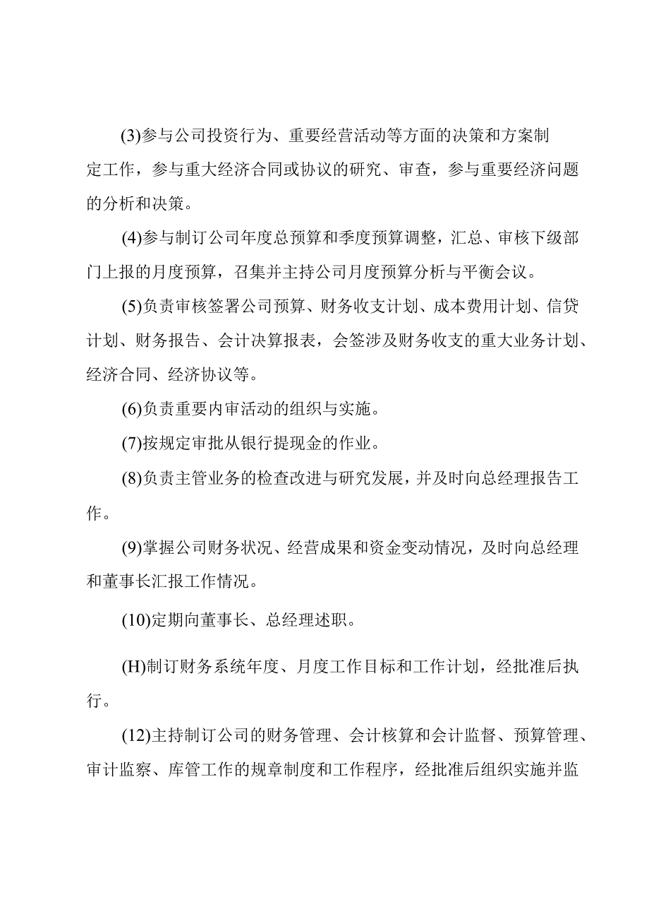 财务总监的岗位职责15篇.docx_第2页