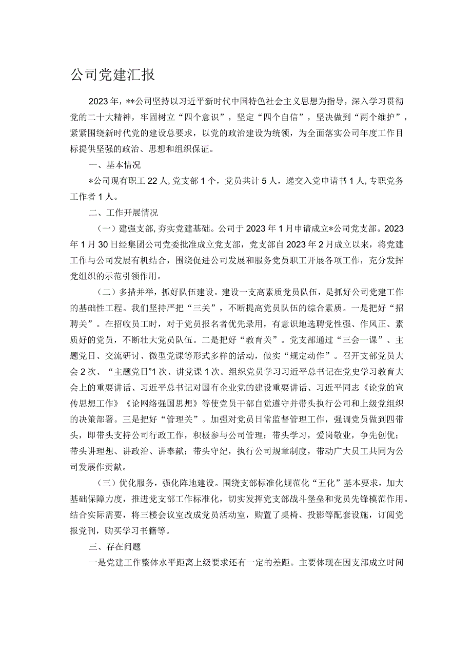 公司党建汇报.docx_第1页