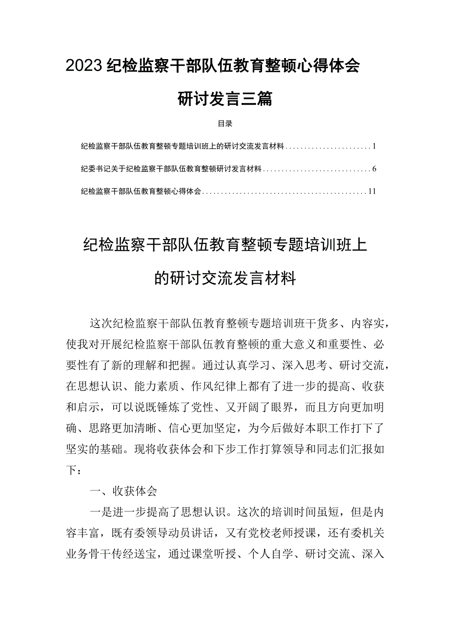 2023纪检监察干部队伍教育整顿心得体会研讨发言三篇.docx_第1页