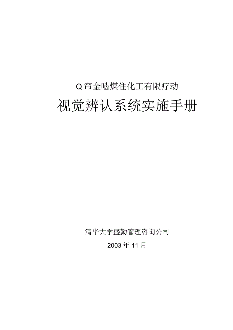 公司—VIS实施手册.docx_第1页