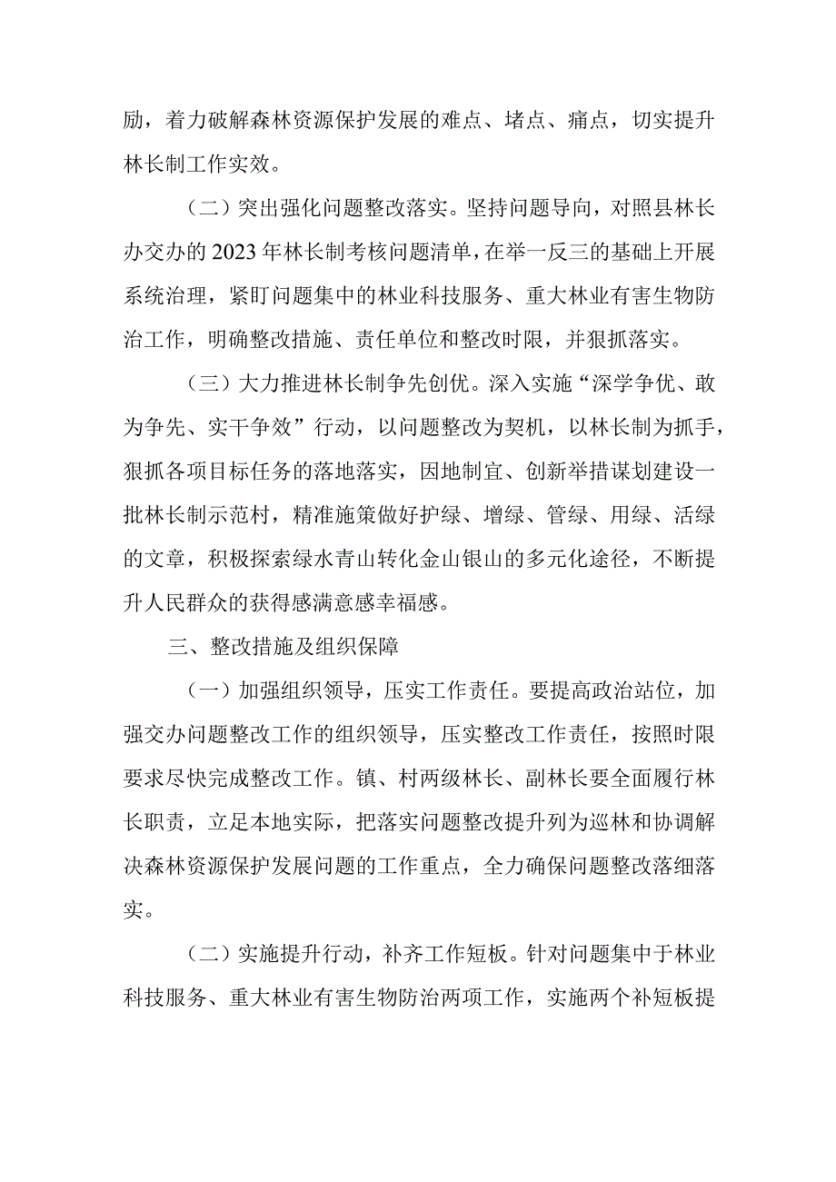 2023年林长制工作考核反馈问题整改方案.docx_第2页