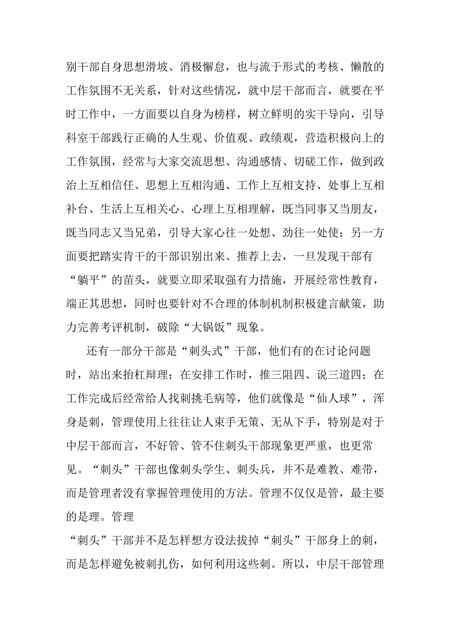 中层干部研讨发言.docx_第2页