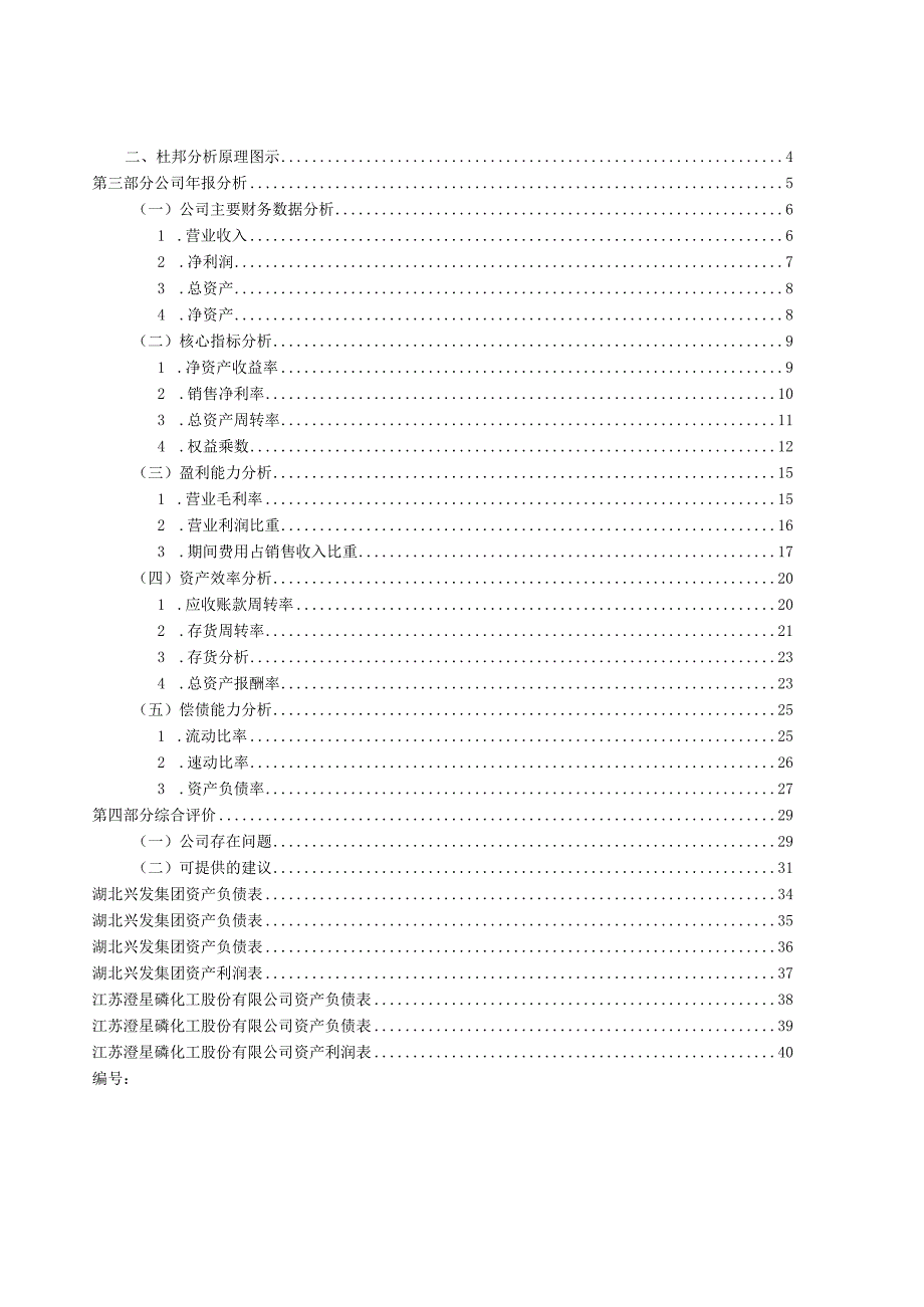 2023年整理湖北兴发集团财务报表分析.docx_第2页