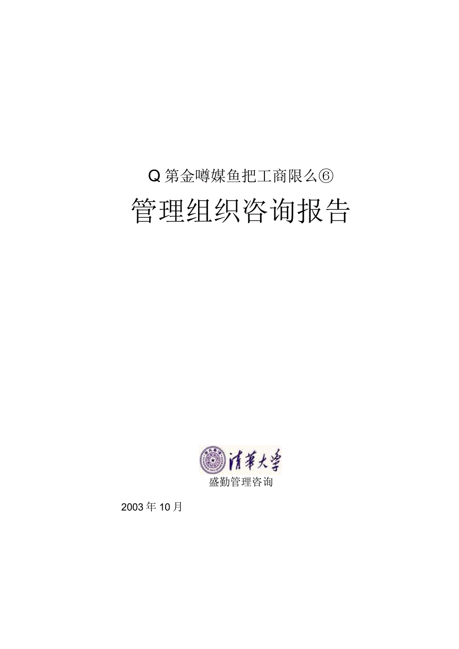 公司—管理组织咨询报告.docx_第1页