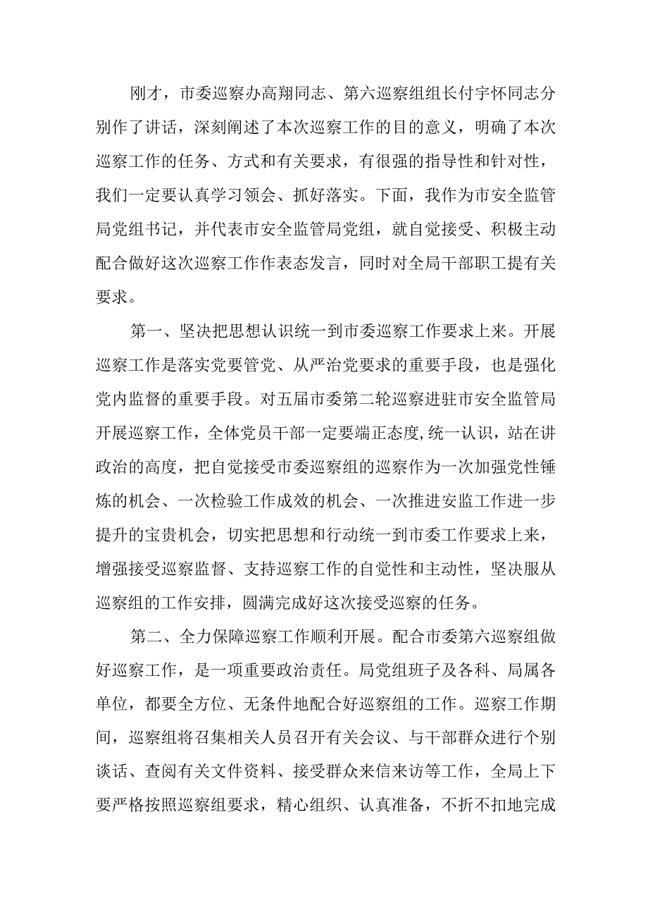 巡察工作表态发言范文通用.docx_第2页