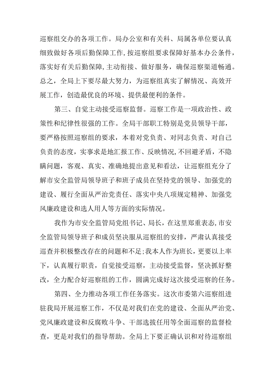 巡察工作表态发言范文通用.docx_第3页