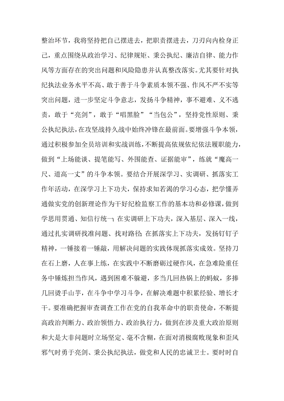 在纪检监察干部队伍教育整顿学习交流会上的研讨发言材料发言稿合集.docx_第3页