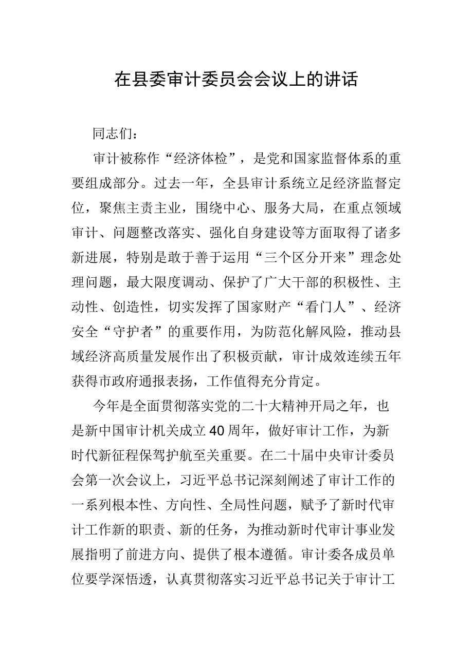 在县委审计委员会会议上的讲话.docx_第1页