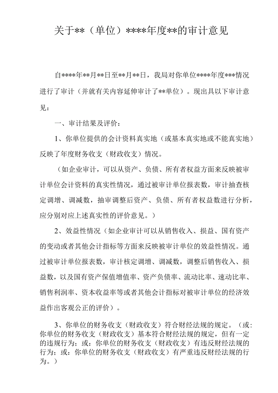 审计意见书.docx_第2页