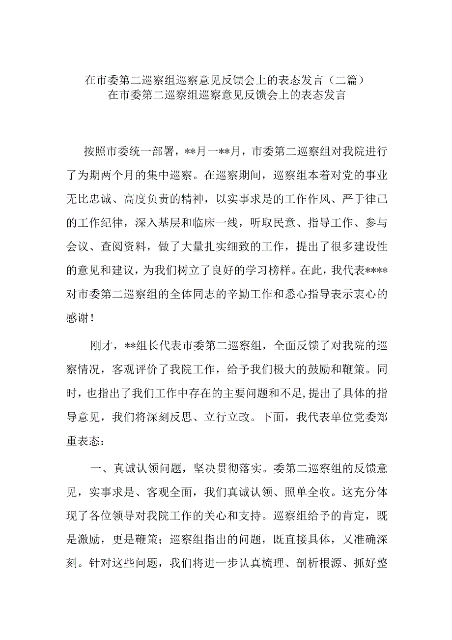 在市委第二巡察组巡察意见反馈会上的表态发言二篇.docx_第1页