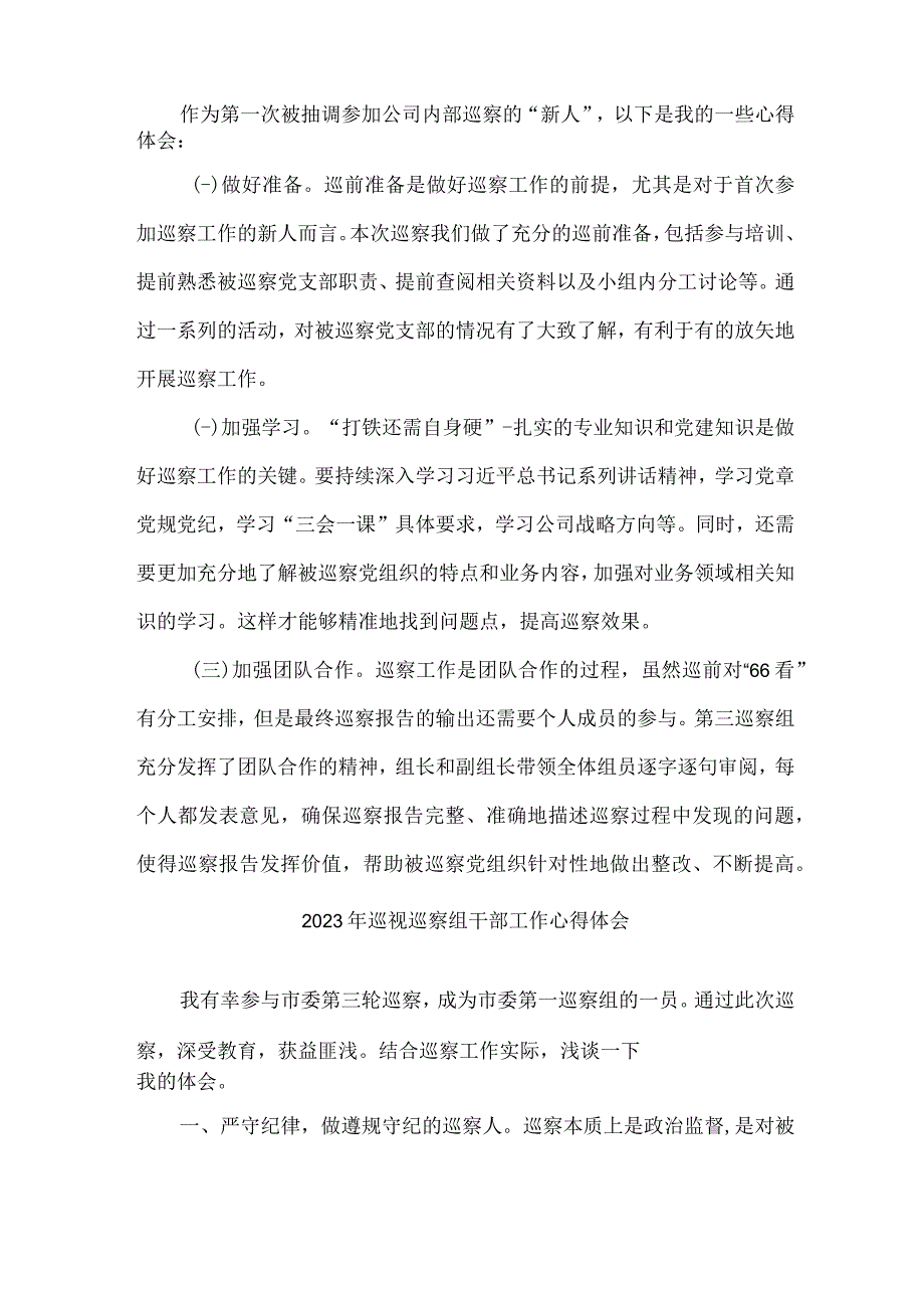 新区2023年纪检巡察组巡检工作个人心得体会 9份.docx_第3页