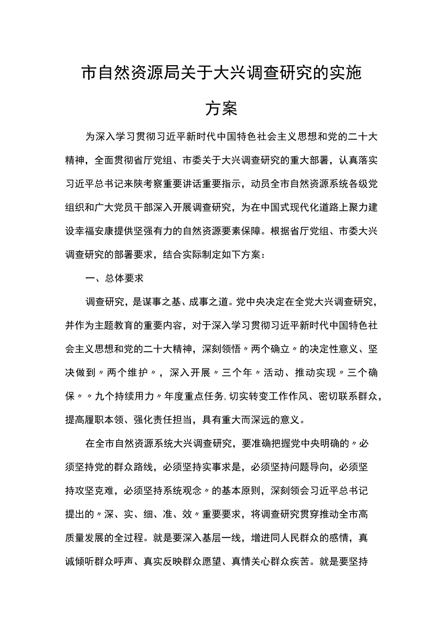 市自然资源局关于大兴调查研究的实施方案.docx_第1页