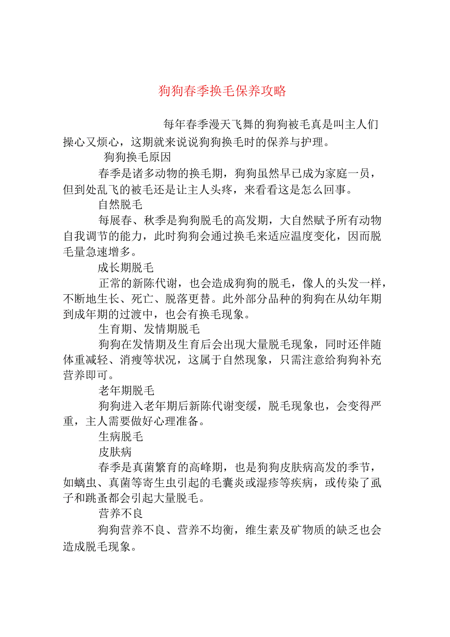 狗狗春季换毛保养攻略.docx_第1页