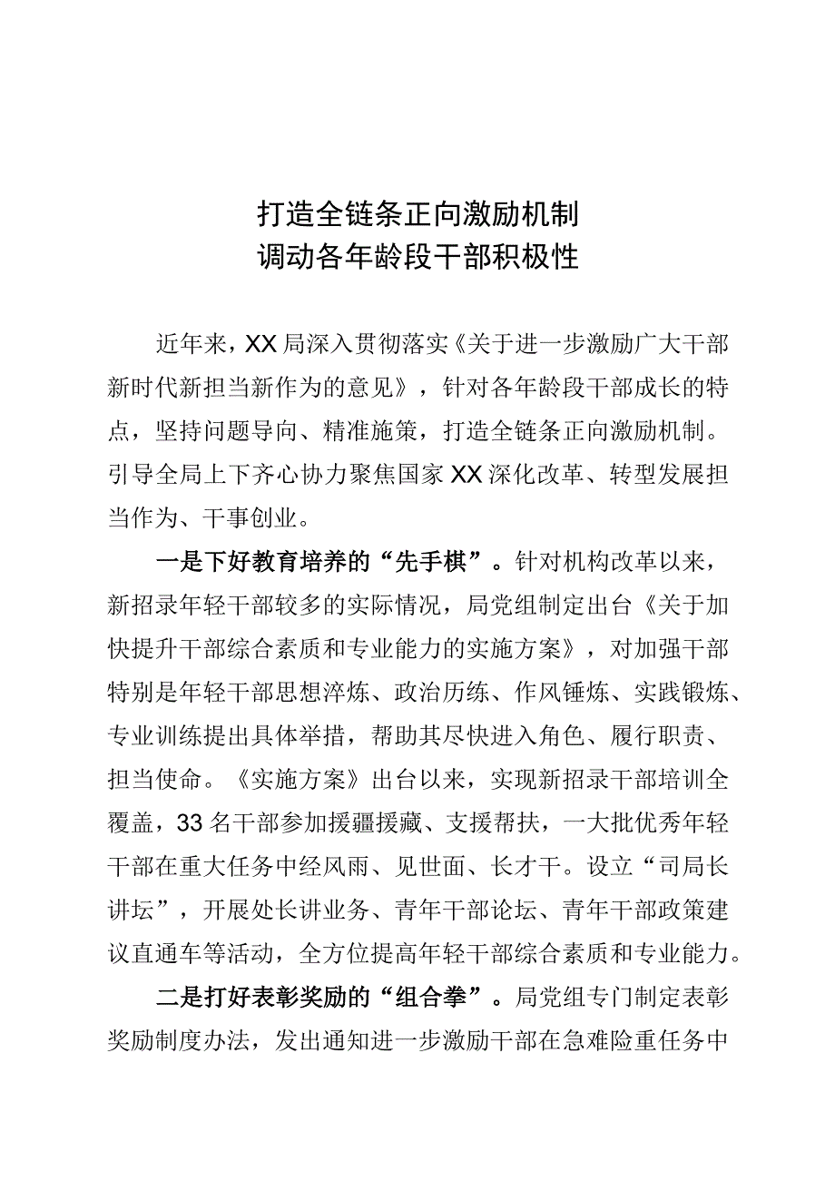 打造全链条正向激励机制工作经验.docx_第1页