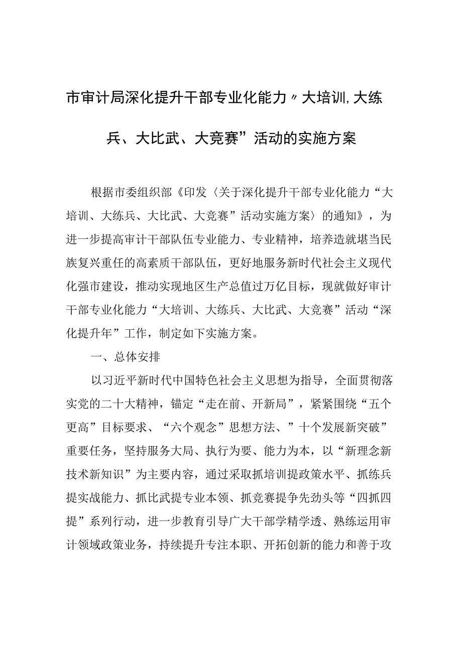 市审计局深化提升干部专业化能力大培训大练兵大比武大竞赛活动的实施方案.docx_第1页