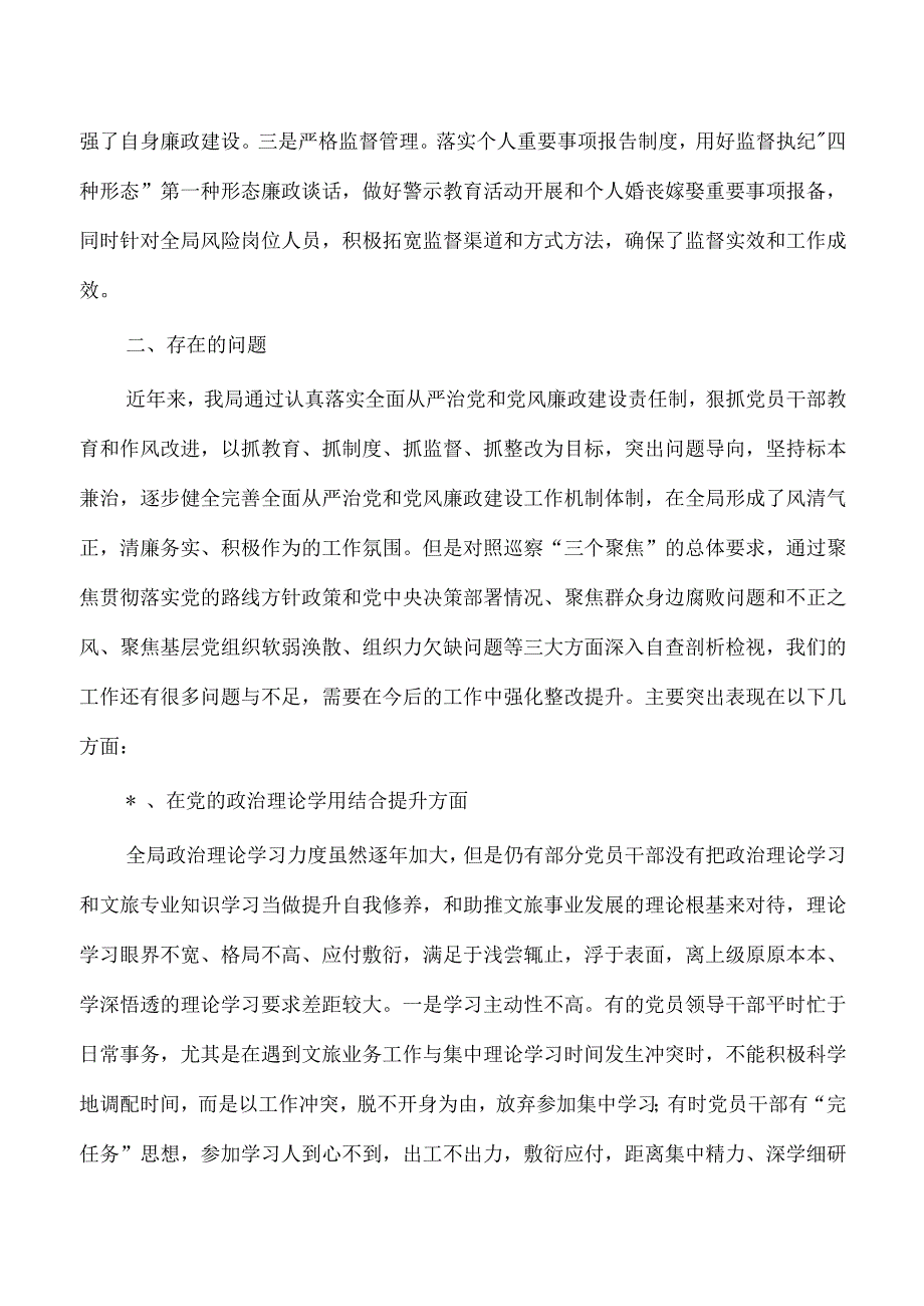 文旅从严治党总结报告.docx_第3页