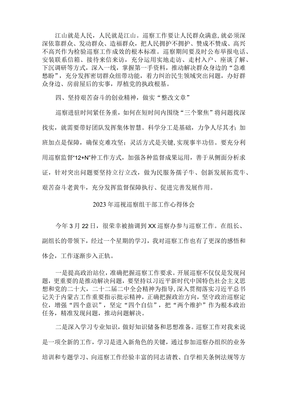 新区2023年纪检巡察组巡检工作个人心得体会.docx_第2页