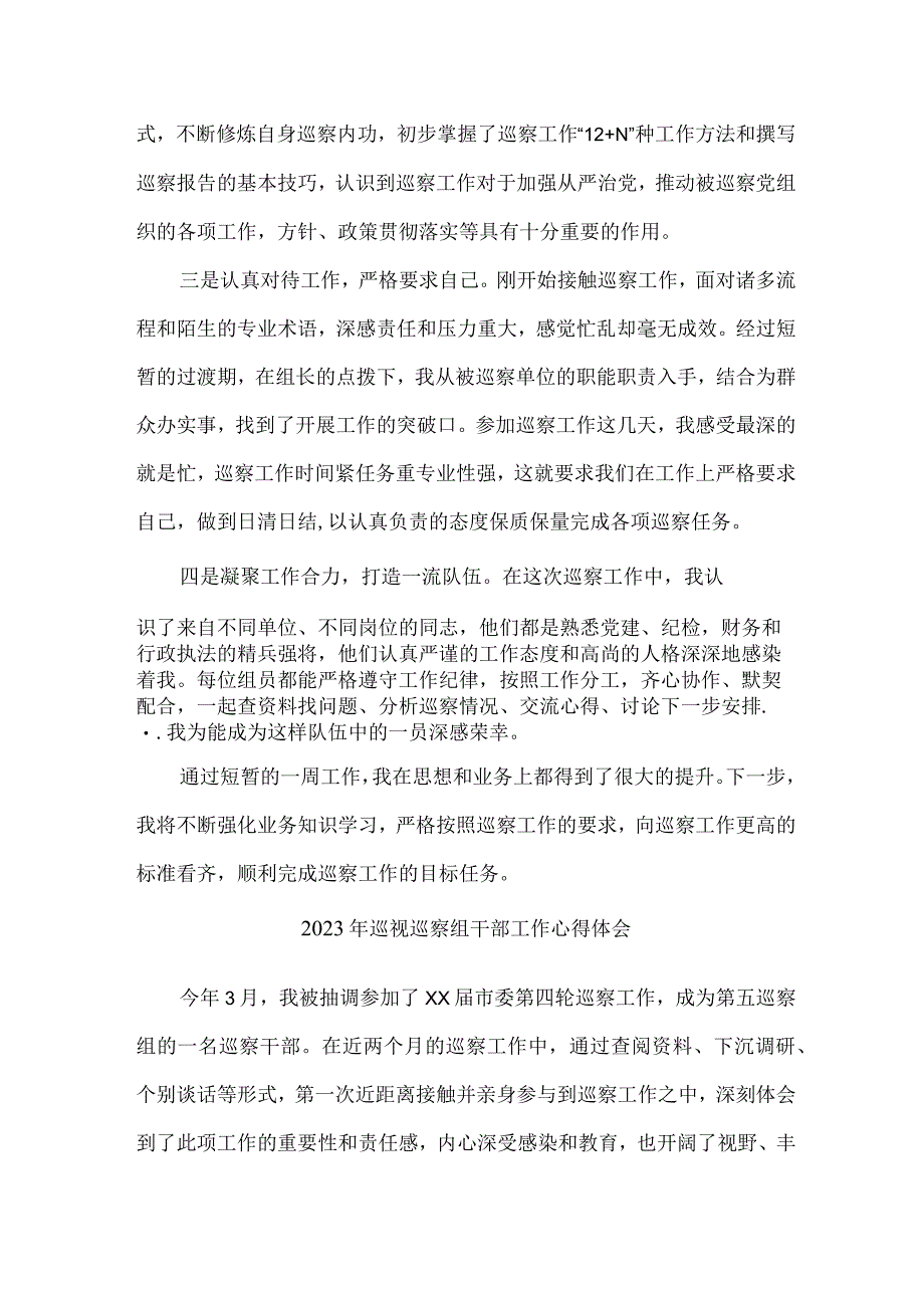 新区2023年纪检巡察组巡检工作个人心得体会.docx_第3页