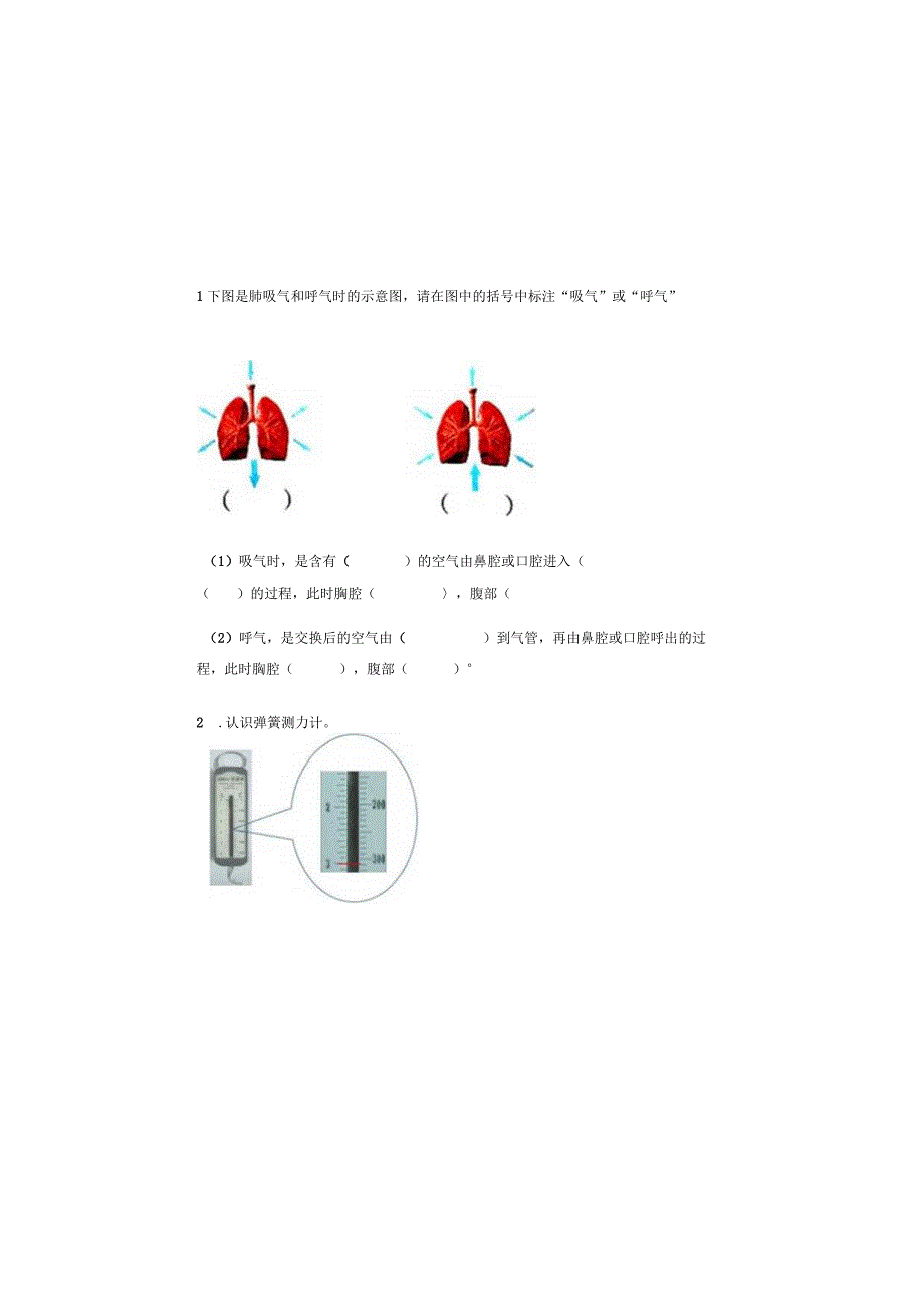 教科版小学四年级上册科学期末测试卷含答案.docx_第3页