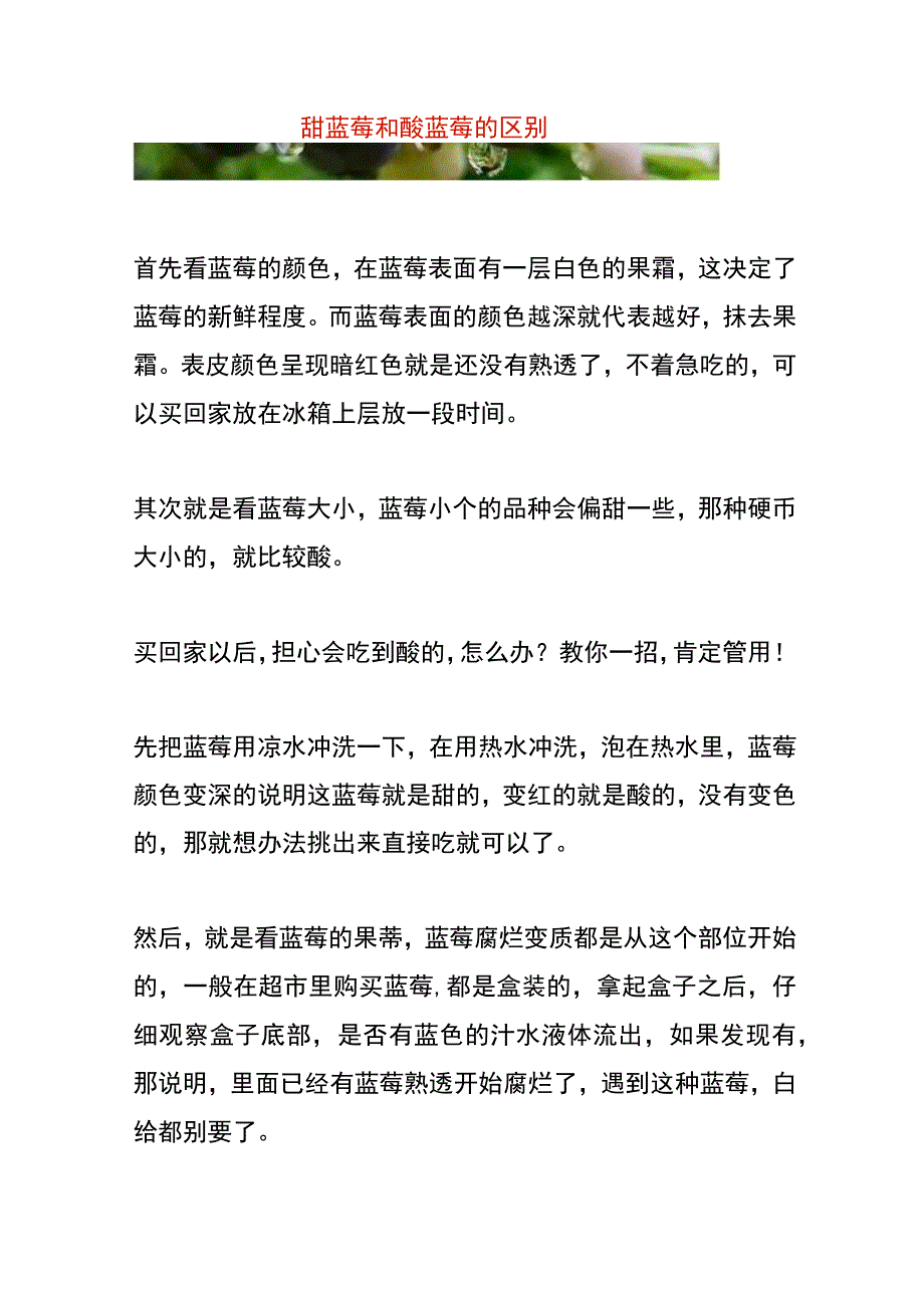 甜蓝莓和酸蓝莓的区别.docx_第1页