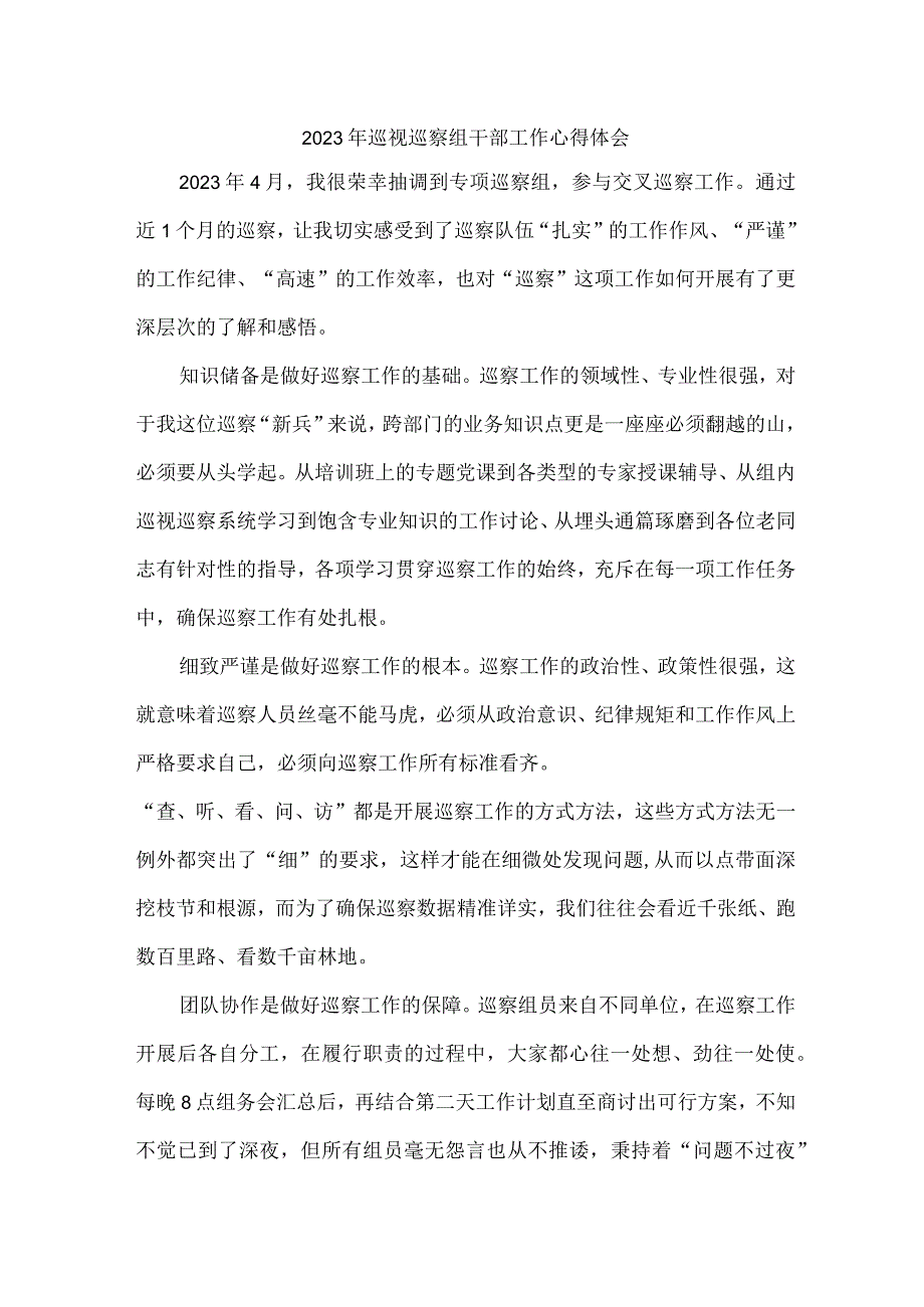 新区2023年纪检巡察组巡检工作个人心得体会 合计9份_002.docx_第1页