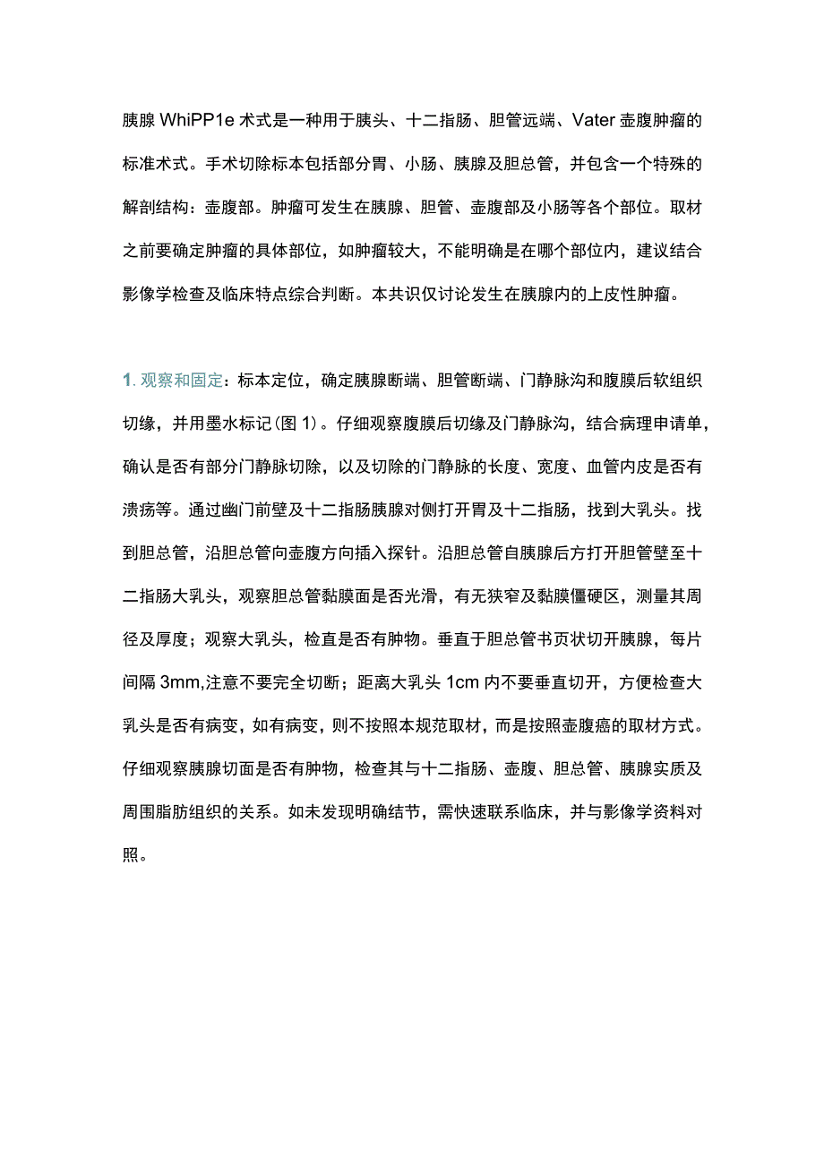 2023胰腺上皮性肿瘤规范化标本取材及病理诊断共识(全文).docx_第3页