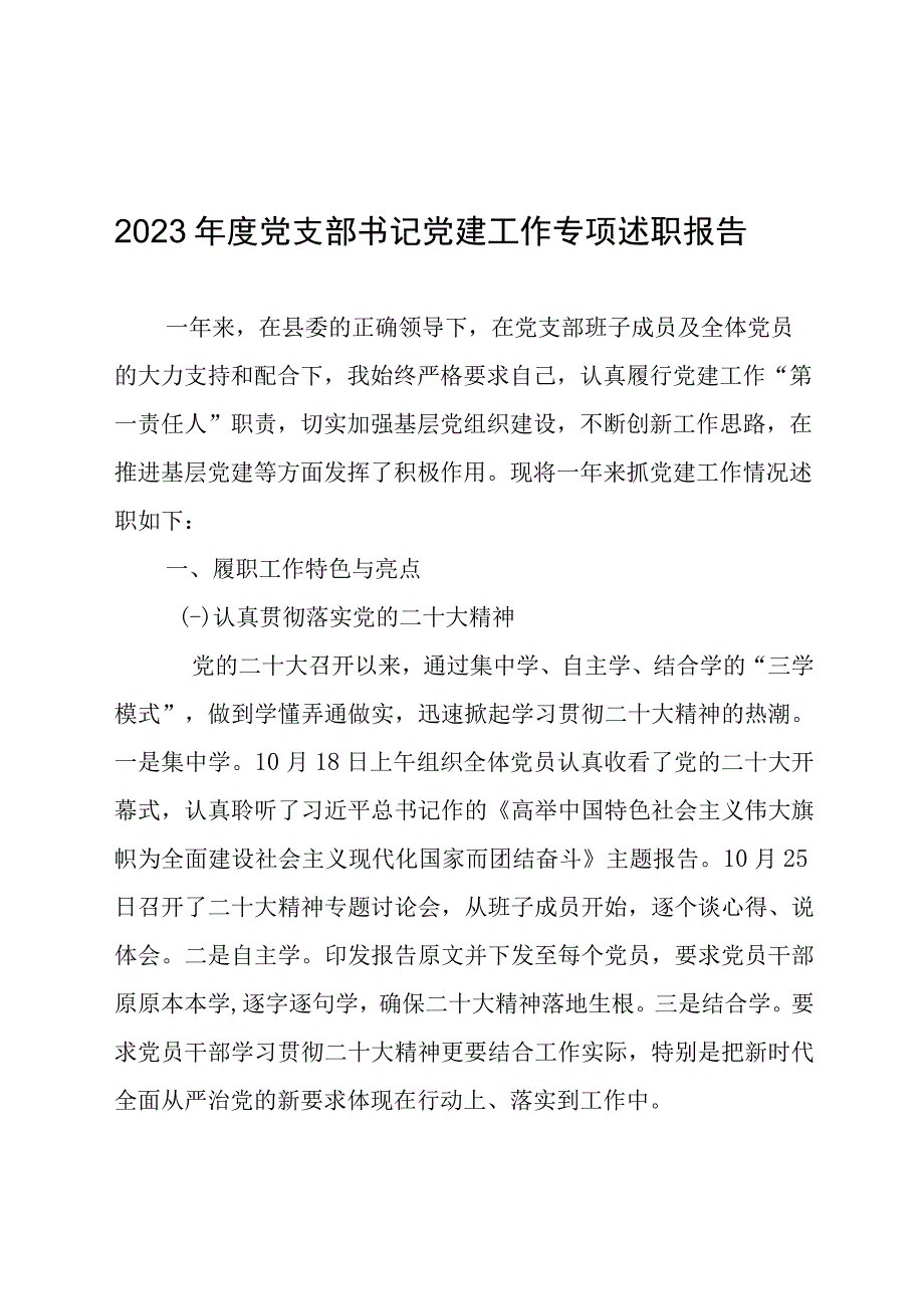 2022年度党支部书记党建工作专项述职报告.docx_第1页