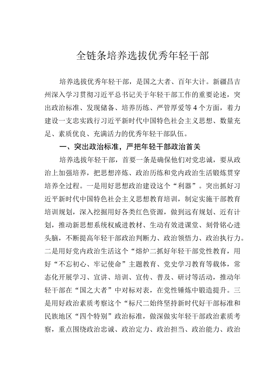 全链条培养选拔优秀年轻干部.docx_第1页