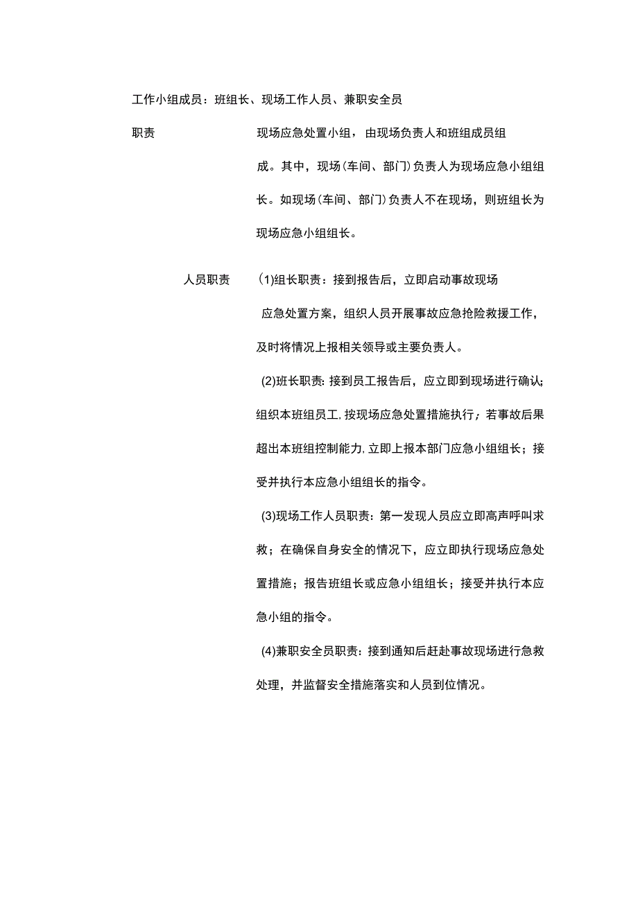 有限空间作业事故现场处置完整方案.docx_第2页