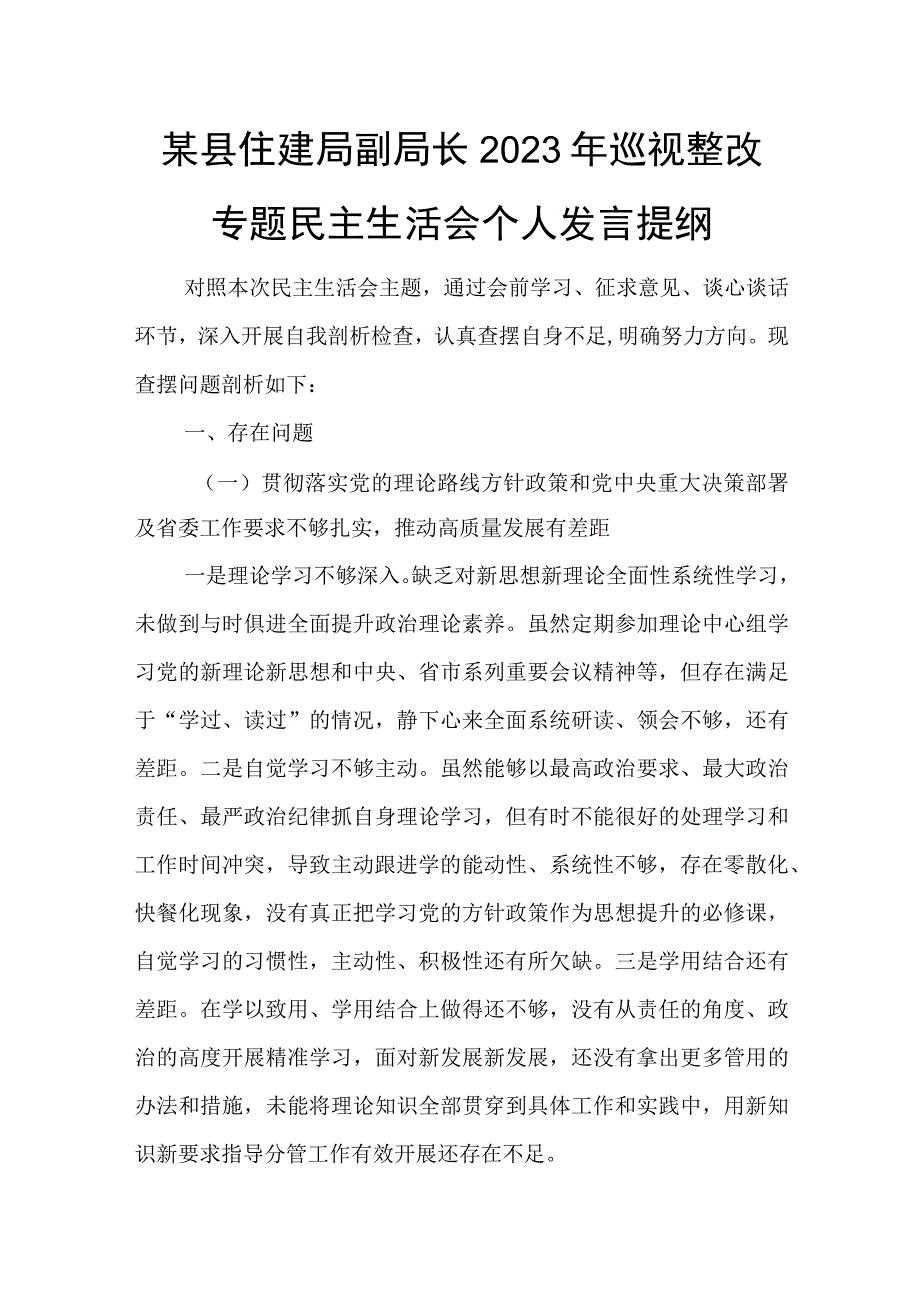 某县住建局副局长2023年巡视整改专题民主生活会个人发言提纲.docx_第1页