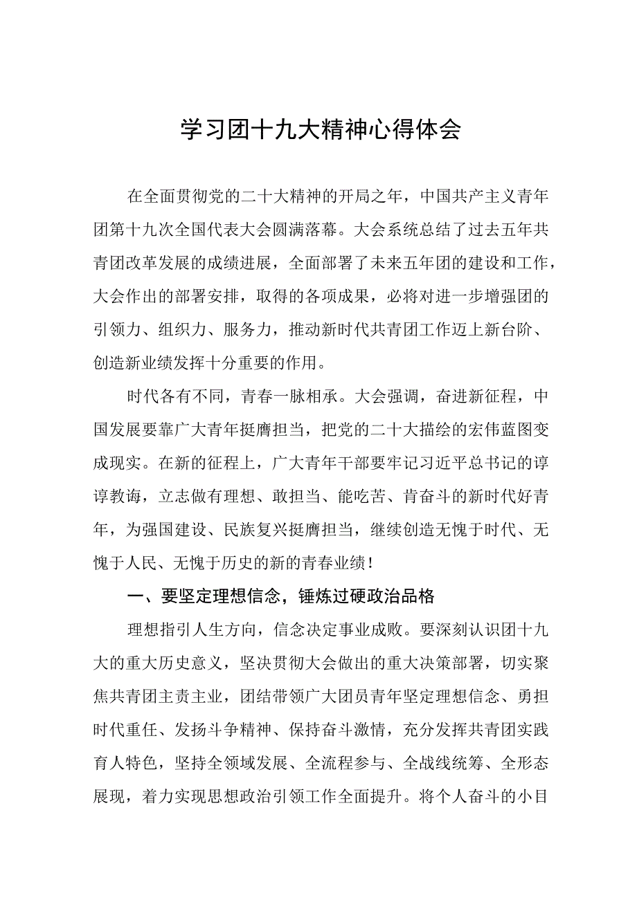 学习青年团第十九次全国代表大会精神心得体会十一篇.docx_第1页