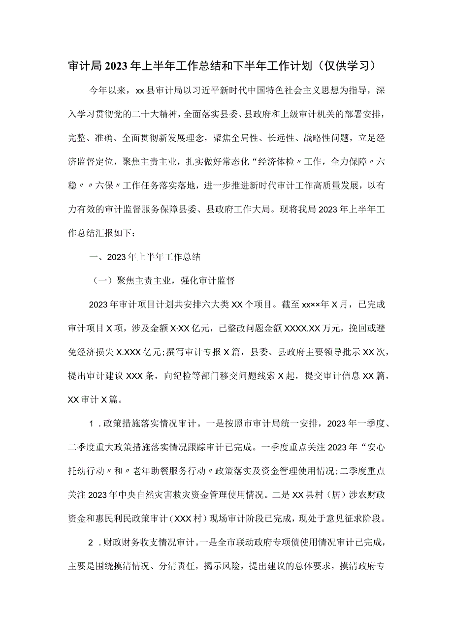 审计局2023年上半年工作总结和下半年工作计划.docx_第1页