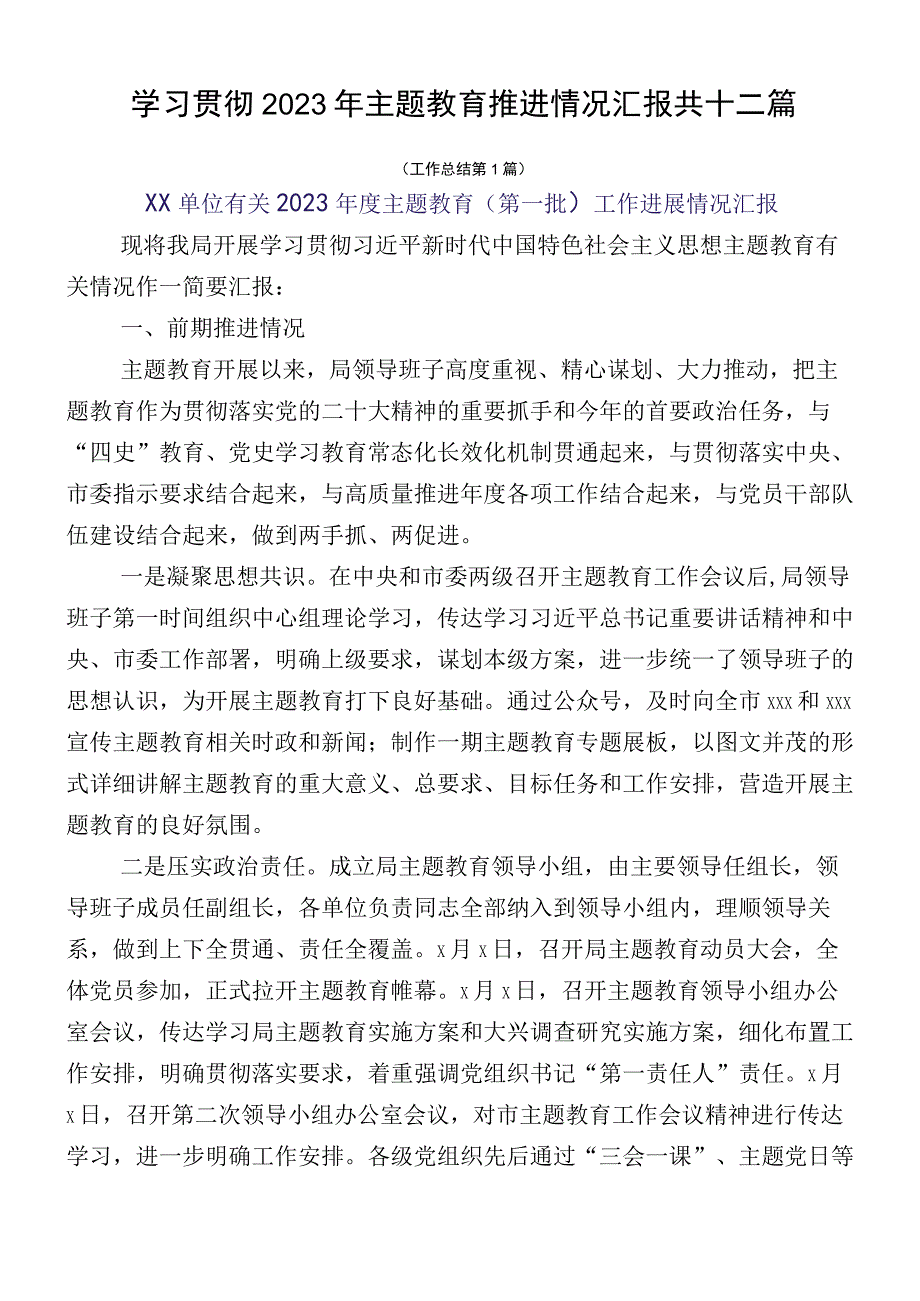 学习贯彻2023年主题教育推进情况汇报共十二篇.docx_第1页