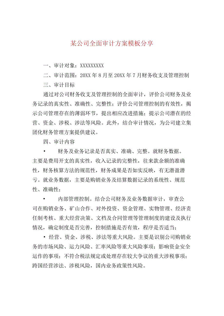 某公司全面审计方案模板分享.docx_第1页