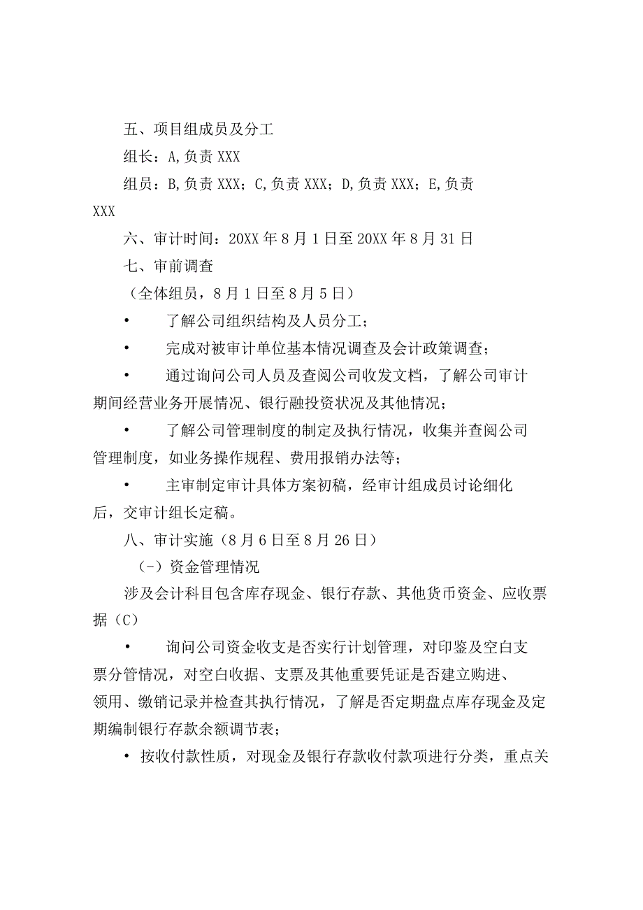 某公司全面审计方案模板分享.docx_第2页