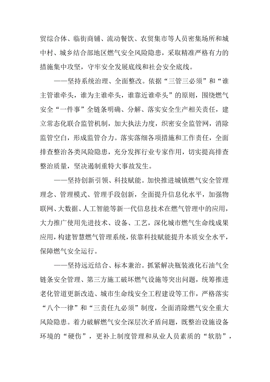 天津市城镇燃气安全专项整治工作方案.docx_第2页