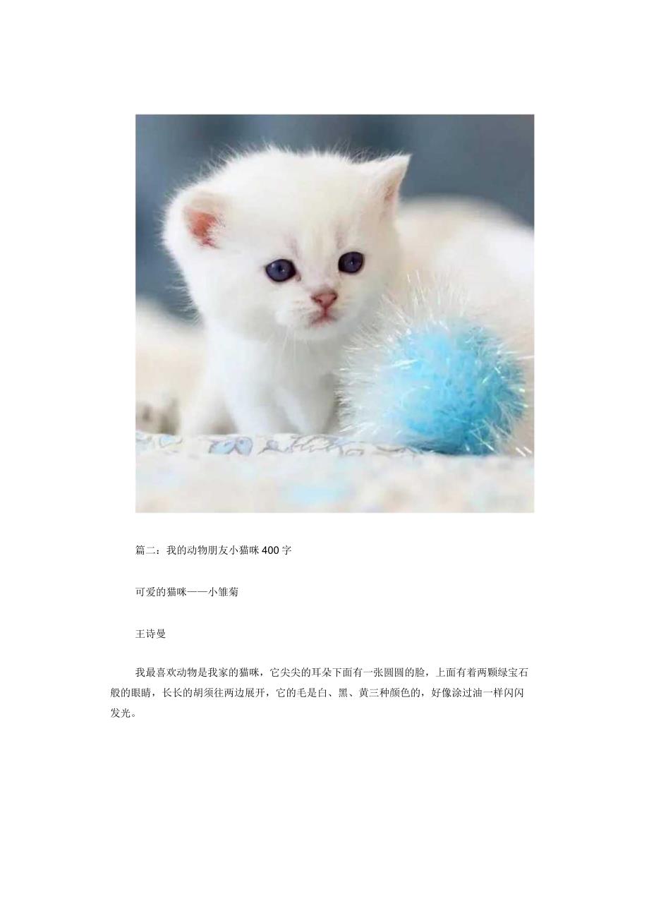 我的动物朋友小猫咪作文10篇.docx_第2页