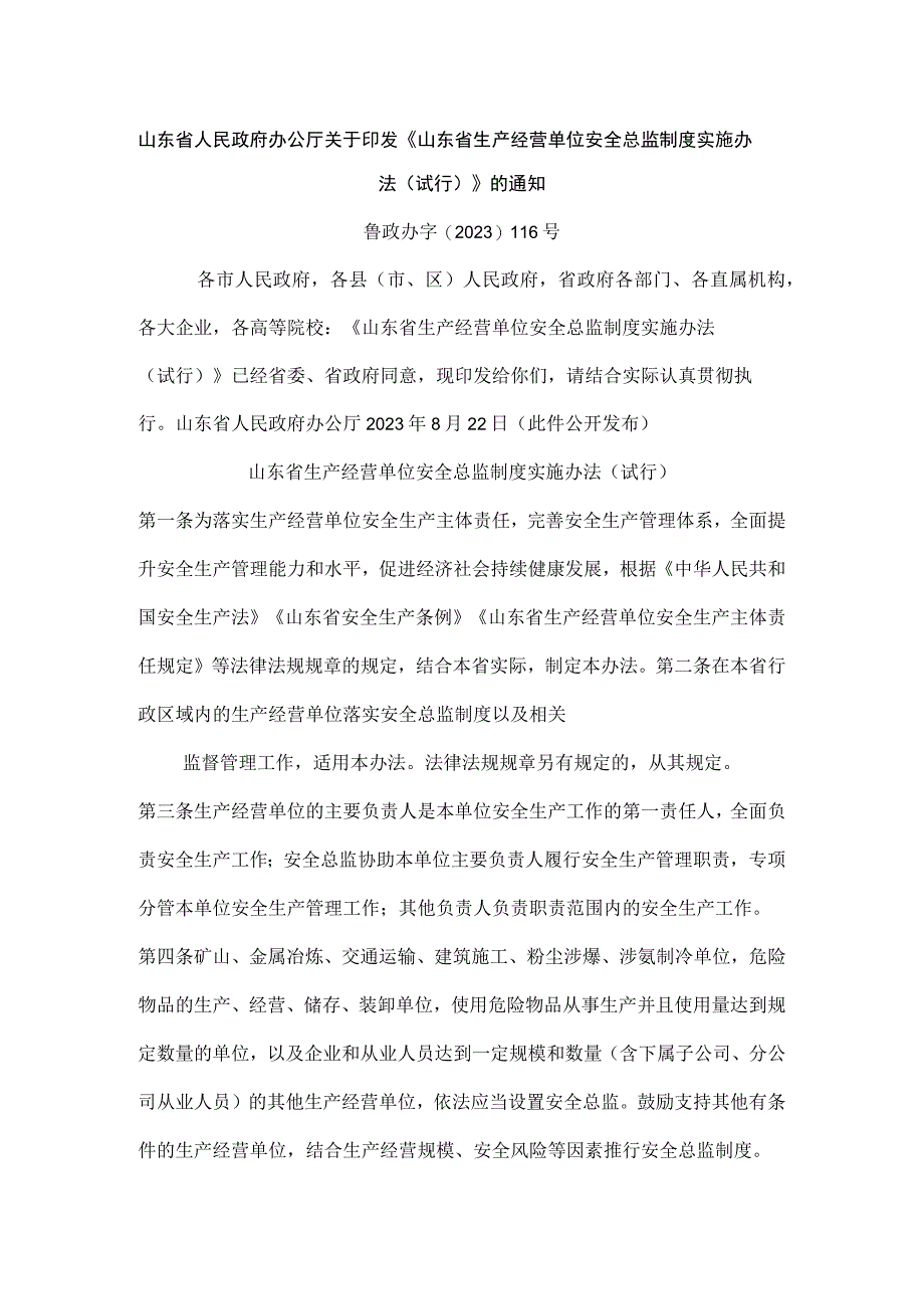 山东省生产经营单位安全总监制度实施办法（试行）.docx_第1页