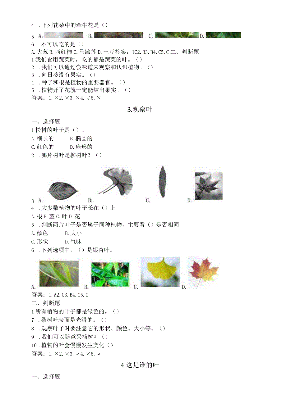 小学科学教科版一年级上册全册课课练（含答案）（2023秋）.docx_第3页