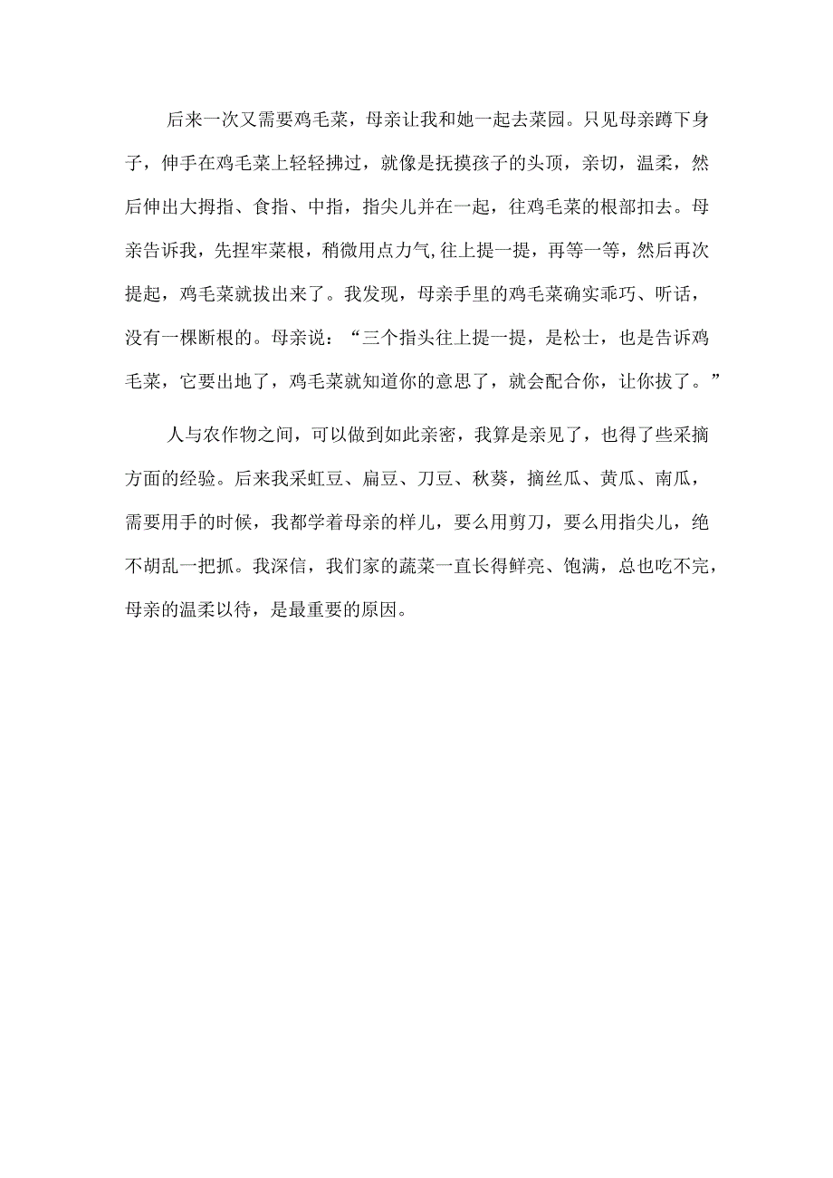 指尖的温柔 那慕达嘎的夜（纸本设色）.docx_第3页