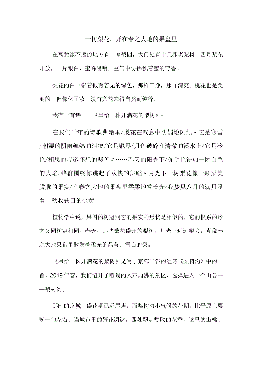 梨花、鸟鸣和林中的歌声.docx_第3页