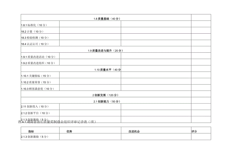 湖南省省长质量奖制造业组织评审记录表、成熟度列表.docx_第3页