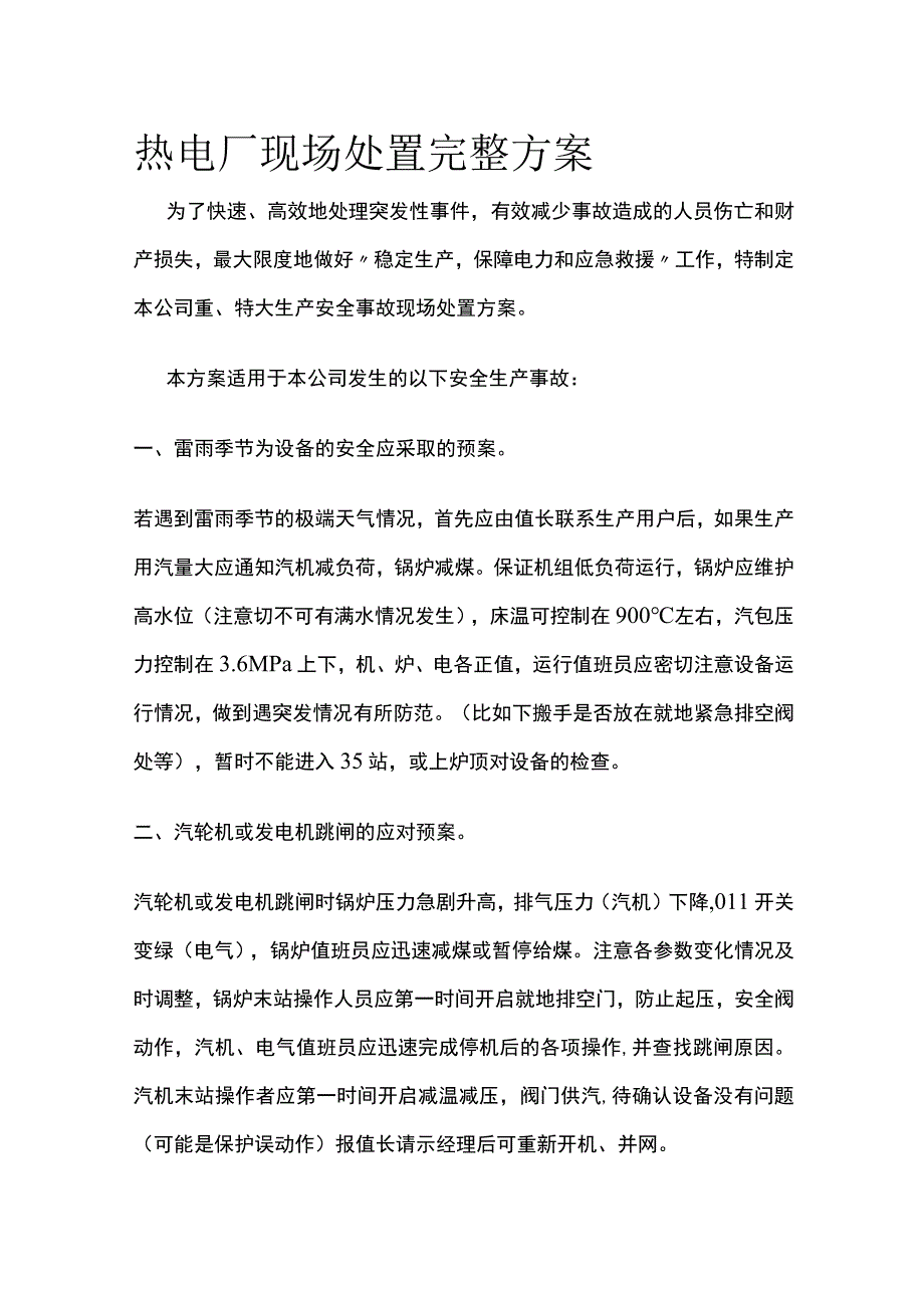 热电厂现场处置完整方案.docx_第1页