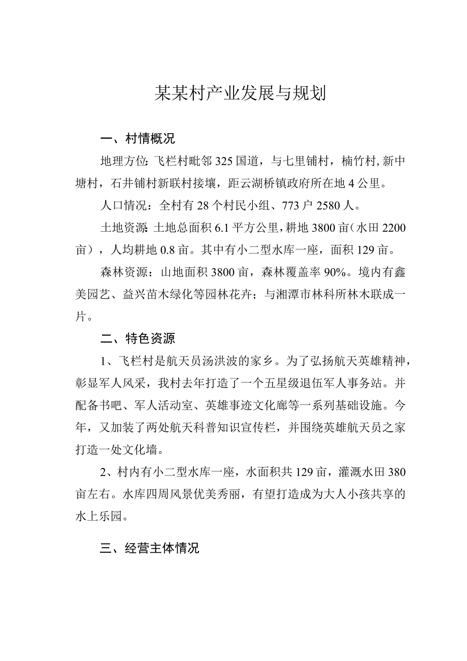 某某村产业发展与规划.docx_第1页