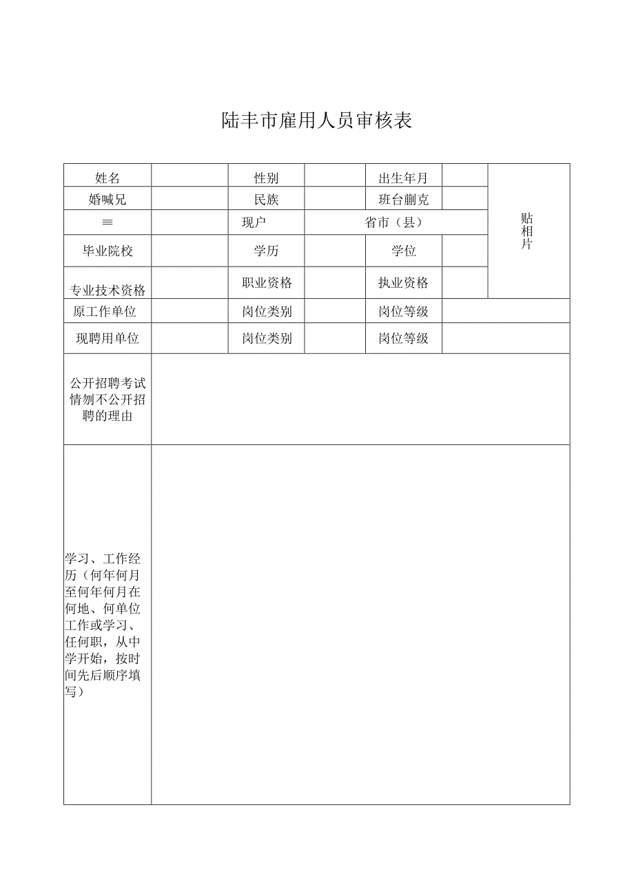 陆丰市雇用人员审核表.docx_第1页